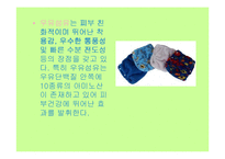 재생섬유의 활용-11