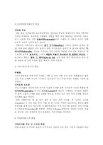 유럽의 축제 레포트-5