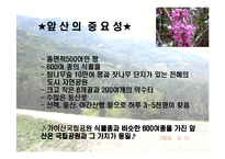 [환경영향평가]환경영향평가의 문제점-7