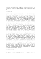 영유아발달이론 중 가장 흥미 있는 이론을 선정하여, 선정 이유와 이론에 대한 내용을 정리하여-6
