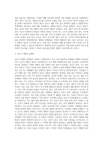 신도시 개발의 실태와 문제점 개선방안-18