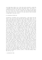 [교정사회복지] 교정사회복지의 개념과 기능 및 유형, 교정사회복지사의 역할, 교정사회복지프로그램-6