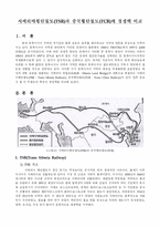 [국제물류, 철도, TSR, TCR]시베리아 횡단철도(TSR)과 중국횡단철도(TCR)의 경쟁력 비교-2
