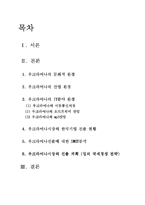 우크라이나의 경제동향과 IT산업의 진출 계획-2