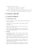 우크라이나의 경제동향과 IT산업의 진출 계획-7