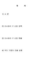 러시아 IT산업현황 분석과 우리 기업의 진출 방향-2