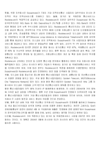 러시아 IT산업현황 분석과 우리 기업의 진출 방향-11