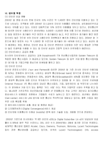 러시아 IT산업현황 분석과 우리 기업의 진출 방향-12