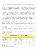 러시아 IT산업현황 분석과 우리 기업의 진출 방향-13