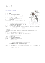 스리랑카(인도주변국)의 IT산업에 대한 현황 분석 및 한국기업의 진출 전략-5