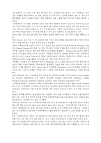 스리랑카(인도주변국)의 IT산업에 대한 현황 분석 및 한국기업의 진출 전략-8