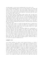 [국제경영] 인디아의 유통 산업 혹은 IT산업 현황 분석 및 한국 기업의 진출 전략-16