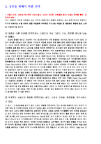 [국제경영] 중국시장에 대한 삼성 애니콜 진출전략-10