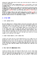 [국제경영] 중국시장에 대한 삼성 애니콜 진출전략-12