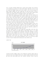 [국제경영] 우크라이나의 IT시장 현황및 진출-5