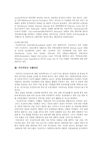[국제경영] 우크라이나의 IT시장 현황및 진출-6