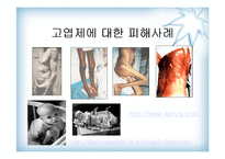 [대기오염]다이옥신 발표-2