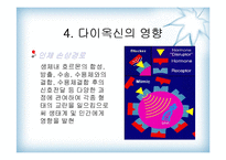 [대기오염]다이옥신 발표-11