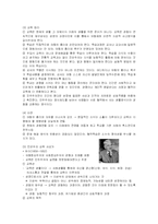 [교육학] 미국현대교육철학 중 진보주의와 본질주의-2