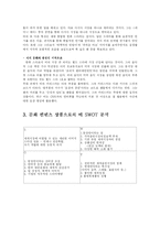 [마케팅원론] JYP 엔터테인멘트 해외진출과 비 마케팅 분석-5