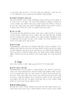 [마케팅원론] JYP 엔터테인멘트 해외진출과 비 마케팅 분석-9