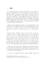 [경영학] 신한은행 기업전략분석-3