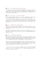 [경영학] 디자인경영 - 쌈지 사례-11