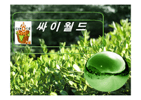 [마케팅] 싸이월드 성공요인과 마케팅분석-1
