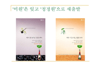 [마케팅] 청정원의 브랜드 마케팅 전략 성공사례-8