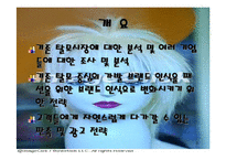 가발시장 마케팅기획서-3