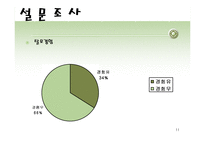 가발시장 마케팅기획서-11