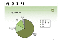 가발시장 마케팅기획서-12