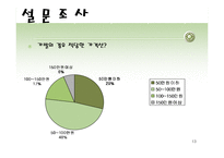 가발시장 마케팅기획서-13