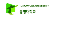 [마케팅기획서] 미래파 마스크 팩 마케팅 기획서-1