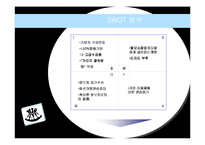 [마케팅기획서] 가발시장 마케팅기획서-13