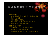 [마케팅기획서] 부산 계절별 축제의 활성화 방안-14
