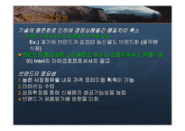 [마케팅기획서] 한진 중공업의 경쟁력 강화와 브랜드 이미지 확대-3