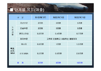 [마케팅기획서] 한진 중공업의 경쟁력 강화와 브랜드 이미지 확대-15