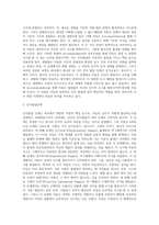[인지발달이론] 피아제(Piaget)의 인지발달이론과 비고츠키(Vygotsky)의 사회문화이론, 피아제와 비고츠키이론의 비교 및 인지발달단계-5
