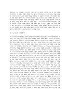 [인지발달이론] 피아제(Piaget)의 인지발달이론과 비고츠키(Vygotsky)의 사회문화이론, 피아제와 비고츠키이론의 비교 및 인지발달단계-10