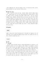 [마케팅]미샤와 더페이스샵 마케팅전략분석-13