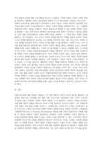 아동수학교육 관련 이론 비교 설명후 이에 대한 관점과 방향 제시-3