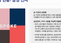 삼성의 미국진출 현황과 특징-7