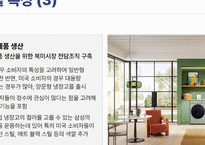 삼성의 미국진출 현황과 특징-10