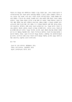 읽기 준비도 관점과 발생적 문해 관점을 비교, 분석하고 교사로서 문해(읽기와 쓰기를 중심으로)지도에 대한 자신의 관점과 견해-5