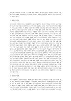 사회복지행정 및 사회복지서비스의 전달체계를 정리한 후 우리나라의 사회복지서비스 전달체계의 문제점을 들어 설명-5