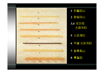 [세계식문화]이탈리아 음식문화-7