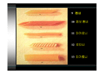 [세계식문화]이탈리아 음식문화-8