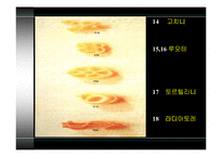 [세계식문화]이탈리아 음식문화-9