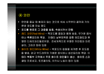 [세계식문화]이탈리아 음식문화-15